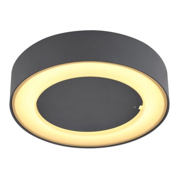 Globo - Udendørs LED loftlampe LED/12W/230V IP54