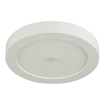 Globo - Udendørs LED loftslampe med sensor 1xLED/18W/230V IP44