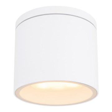 Globo - Udendørs loftlampe 1xGX53/11W/230V IP44