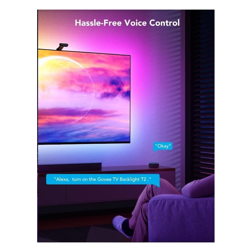 Govee - DreamView T2 DUAL TV 55-65" SMART LED baglygte RGBIC Wi-Fi + fjernbetjening