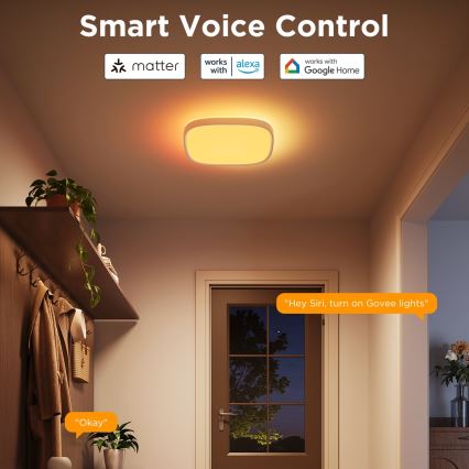 Govee - LED loftlampe m. RGBIC-farver dæmpbar LED/24W/230V 2700-6500K Wi-Fi