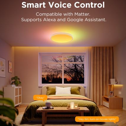 Govee - LED loftlampe RGBIC dæmpbar LED/49W/230V 2700-6500K Wi-Fi diameter 38 cm