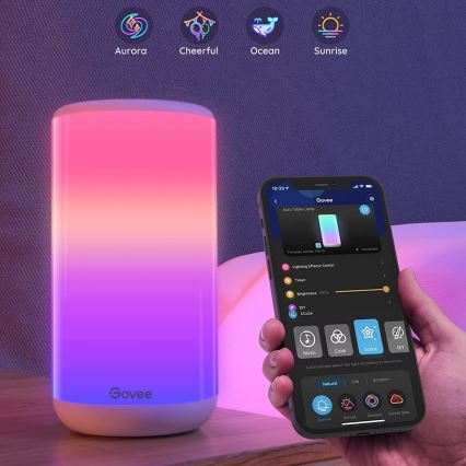 Govee - LED RGBIC Bordlampe dæmpbar AURA 2 2200-6500K Wi-Fi Matter