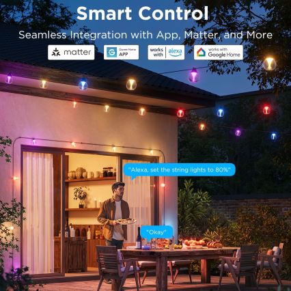Govee - LED RGBICW Dæmpbar udendørs dekorativ lyskæde LED/24W/230V IP67 2700-6500K Wi-Fi