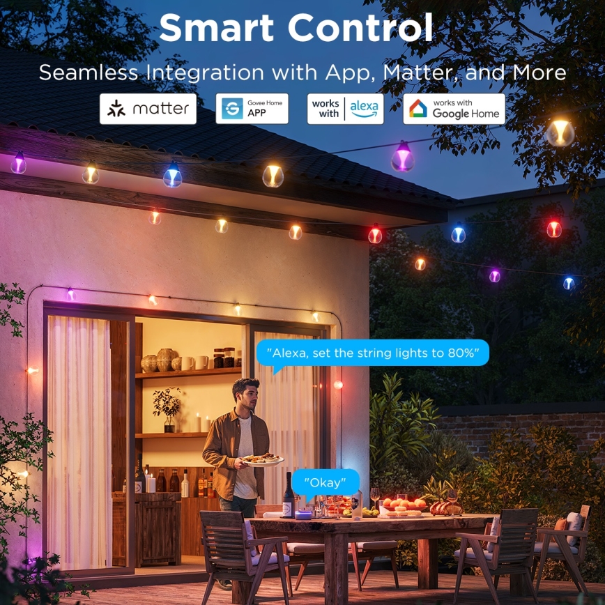 Govee - LED RGBICW Dæmpbar udendørs dekorativ lyskæde LED/24W/230V IP67 2700-6500K Wi-Fi