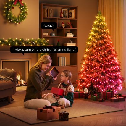 Govee - LED RGBICW Udendørs julelyskæde 2700-6500K 20m Wi-Fi Matter IP65