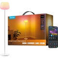 Govee - LED RGBICWW Dæmpbar gulvlampe LANTERN MATTER LED/24W/230V Wi-Fi 160 cm