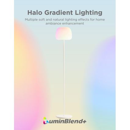 Govee - LED RGBICWW Dæmpbar gulvlampe LANTERN MATTER LED/24W/230V Wi-Fi 160 cm