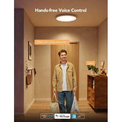 Govee - LED RGBICWW Dæmpbar loftlampe LED/29W/230V Ø 30 cm mat Wi-Fi