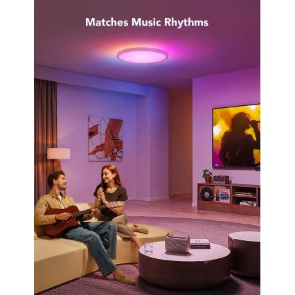 Govee - LED RGBICWW Dæmpbar loftlampe LED/29W/230V Ø 30 cm mat Wi-Fi