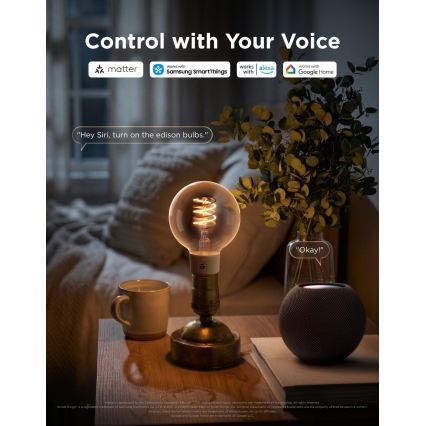 Govee - LED RGBWW dæmpbar pære Smart MATTER G80 E27/5W/230V 2700-6500K Wi-Fi