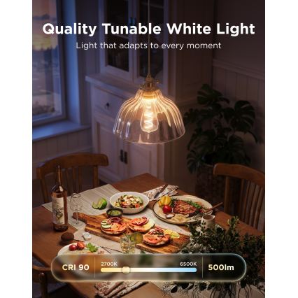Govee - LED RGBWW dæmpbar pære Smart MATTER ST64 E27/5W/230V 2700-6500K Wi-Fi