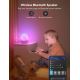 Govee - RGBIC Night Smart LED lampe med højttaler Wi-Fi