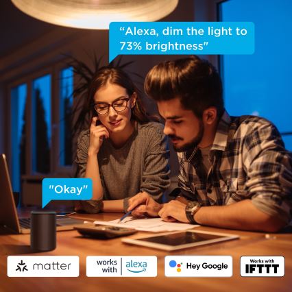 Govee - Sæt 2x Smart dæmpbar LED-pære MATTER A60 E27/9W/230V 2700-6500K Wi-Fi