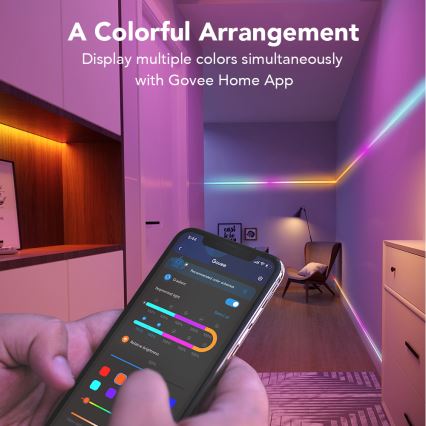 Govee - Wi-Fi RGBIC Smart PRO LED strip 3 m - ekstra slidstærk