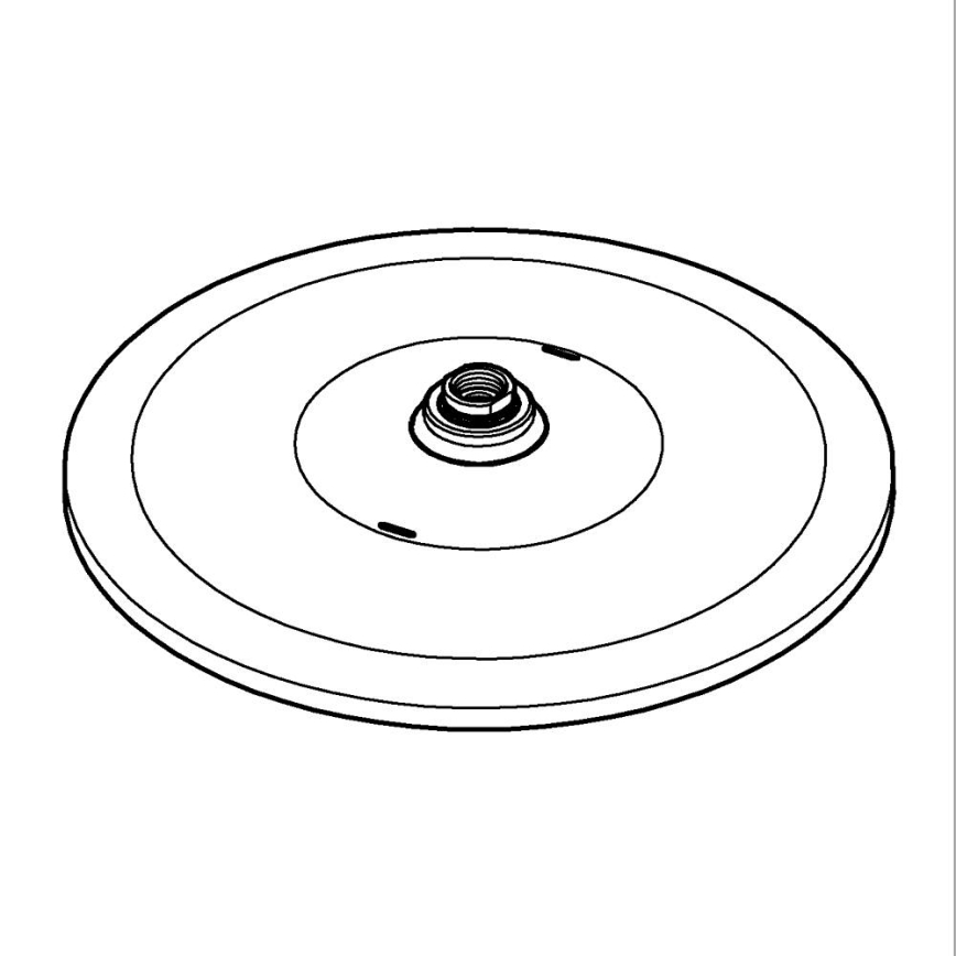 GROHE 26562000 - Hovedbruser RAINSHOWER MONO 310 mm, blank krom