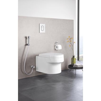 GROHE 27514001 - Håndholdt bidetbruser TEMPESTA-F TRIGGER SPRAY 30, 36 mm, krom
