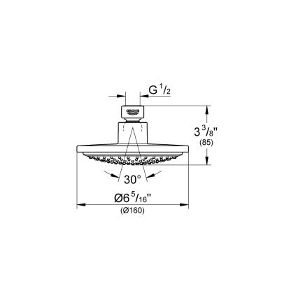 GROHE 28233000 - Brusehoved EUPHORIA COSMOPOLITAN 160 blank krom