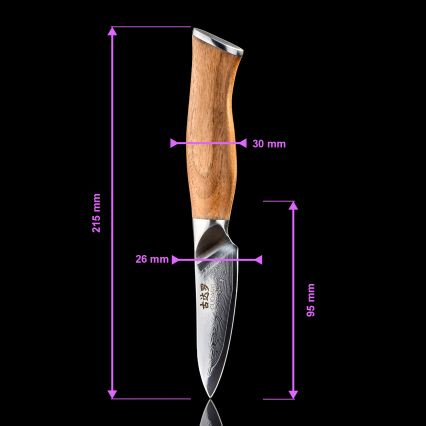 Gudaro - Damaskus-køkkenkniv TAKUMI 3,5, 67-lags stål, bladlængde 9,5 cm, valnøddetræ