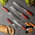 Gudaro - Sæt med 5 damaskus køkkenknive KENSHO + magnetisk knivholder