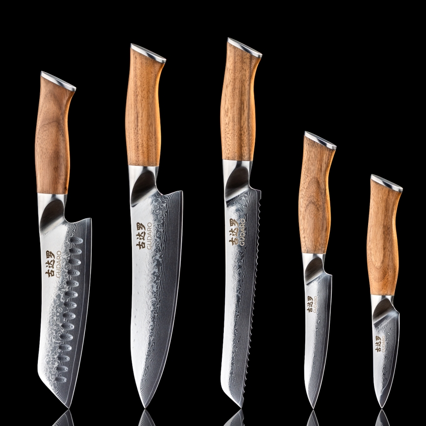 Gudaro - Sæt med 5 damaskus-køkkenknive TAKUMI + magnetisk knivholder