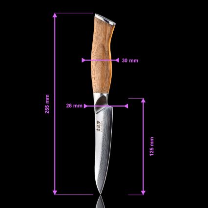 Gudaro - Sæt med 5 damaskus-køkkenknive TAKUMI + magnetisk knivholder