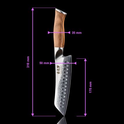 Gudaro - Sæt med 5 damaskus-køkkenknive TAKUMI + magnetisk knivholder