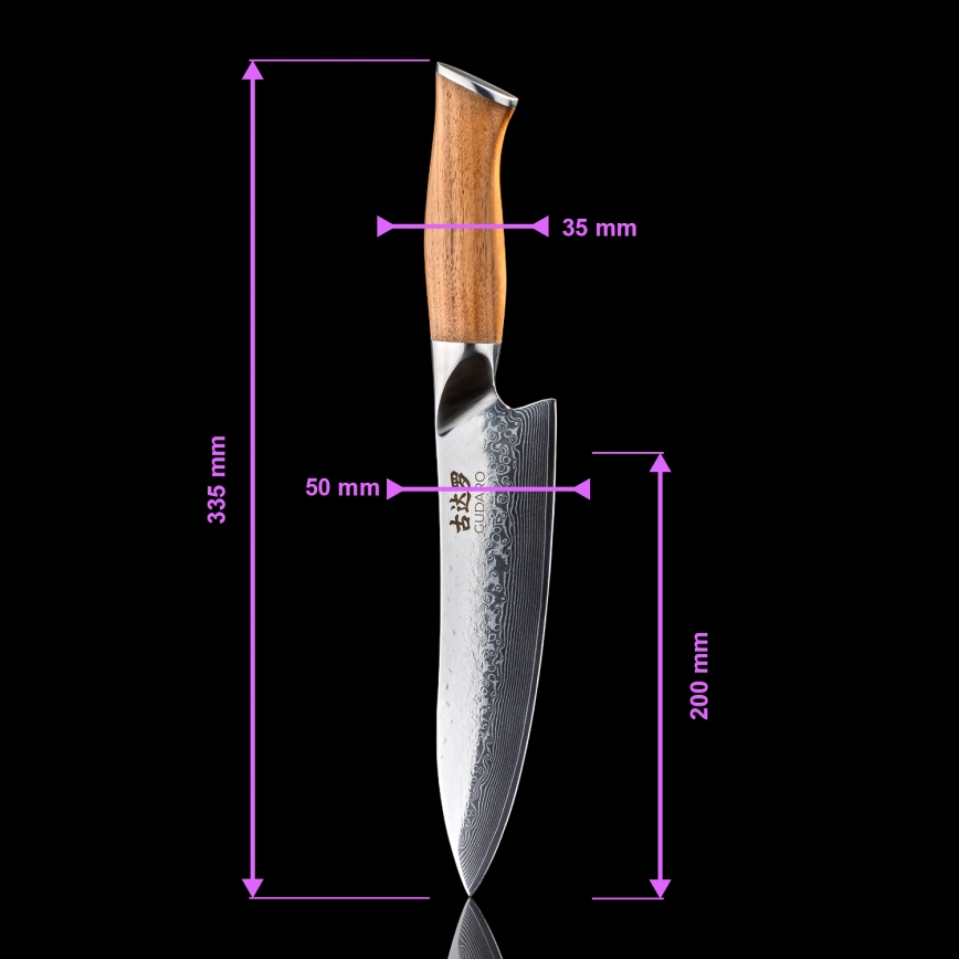 Gudaro - Sæt med 5 damaskus-køkkenknive TAKUMI + magnetisk knivholder