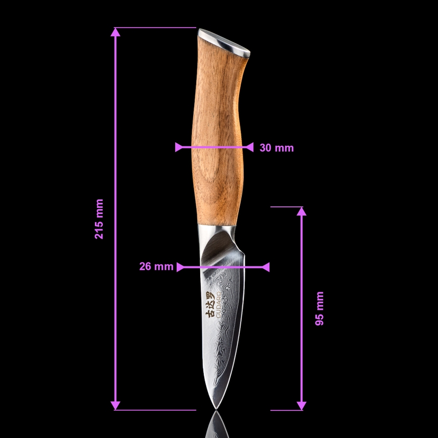 Gudaro - Sæt med 5 damaskus-køkkenknive TAKUMI + magnetisk knivholder