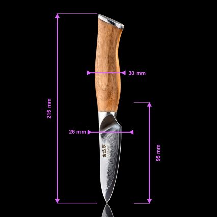 Gudaro - 5-pak damaskus køkkenknive TAKUMI med knivblok og fjerkræsaks