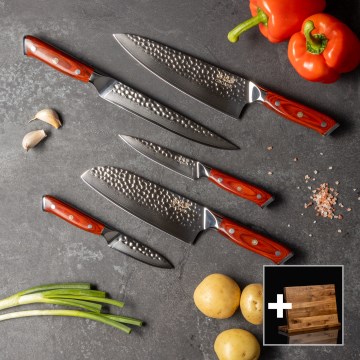 Gudaro - Sæt med 5 køkkenknive i damaskusstål MIYABI + magnetisk knivholder