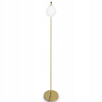 Gulvlampe 1xG9/40W/230V guld/hvid
