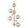 Halo Design 738861 - Pendel på wire ATOM 6xG9/28W/230V Ø 30 cm messing/røgfarvet beige