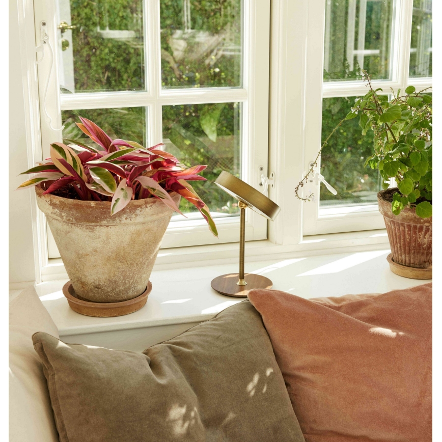 Halo Design 745784 - LED dæmpbar genopladelig bordlampe ON THE MOVE LED/2,5W/4000 mAh messing/træ