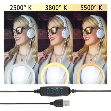 Hama - LED dæmpbart cirkulært lys med stativ LED/5,8W/5V Ø 17 cm + fjernbetjening
