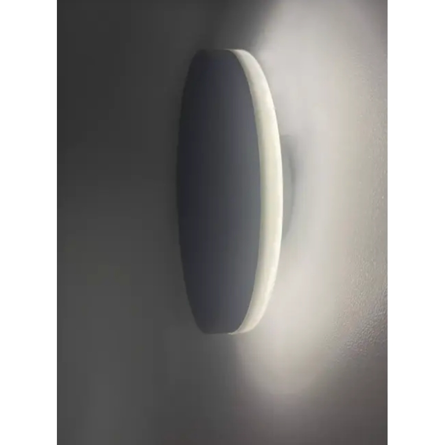 HÖFFTECH - LED Udendørs væglampe LED/10W/230V rund IP65