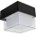 HÖFFTECH - LED udendørs væglampe LED/4W/230V IP65