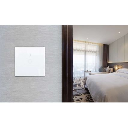 Home switch SWITCH 1000W/230V Wi-Fi Tuya