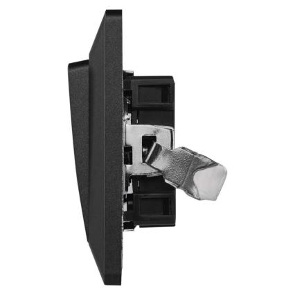 Home switch vekslende 250V/10A antracit
