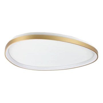 Ideal Lux - LED loftlampe dæmpbar GEMINI LED/42W/230V diameter 81 cm CRI 90 guldfarvet