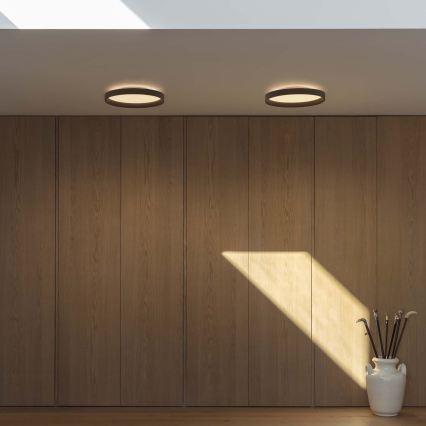 Ideal Lux - LED loftlampe FLY LED/26W/230V 2700K diameter 45 cm CRI 90 IP40 sort