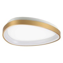 Ideal Lux - LED loftlampe GEMINI LED/23W/230V diameter 42,5 cm guldfarvet
