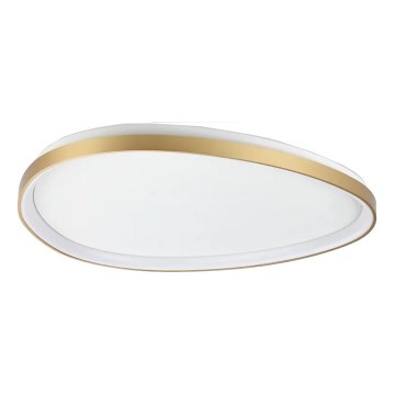 Ideal Lux - LED loftlampe GEMINI LED/42W/230V diameter 81 cm CRI 90 guldfarvet