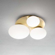 Ideal Lux - LED loftlampe NINFEA 3xLED/9W/230V guldfarvet