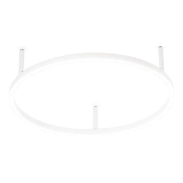Ideal Lux - LED-loftlampe ORACLE SLIM LED/29W/230V 2700K CRI 90 Ø 50 cm hvid