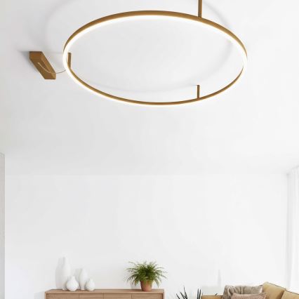 Ideal Lux - LED-loftlampe ORACLE SLIM LED/37W/230V 3000K CRI 90 Ø 70 cm guld