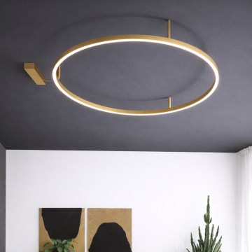 Ideal Lux - LED loftlampe ORACLE SLIM LED/53W/230V 3000K CRI 90 Ø 90 cm guld