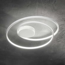 Ideal Lux - LED loftlampe OZ LED/48W/230V hvid
