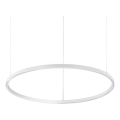 Ideal Lux - LED pendel dæmpbar ORACLE SLIM LED/39W/230V 3000K diameter 70 cm hvid