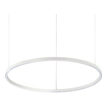 Ideal Lux - LED pendel dæmpbar ORACLE SLIM LED/40W/230V 4000K diameter 70 cm CRI 90 hvid